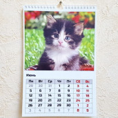 Календарь перекидной А3+ 14-страничный