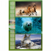 Календарь 31х44 вертикальный